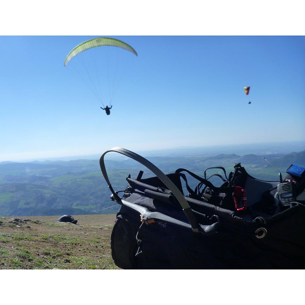free*spee 3.0 Speedbar