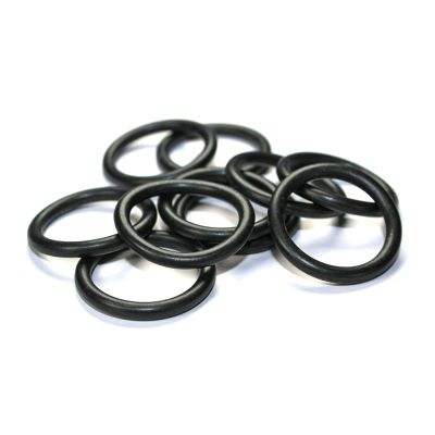 BGD O-Ring Set 22 x 2,5mm für Leinenschlösser